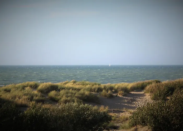 Boutique Appartment With Vue On Sea And Dunes