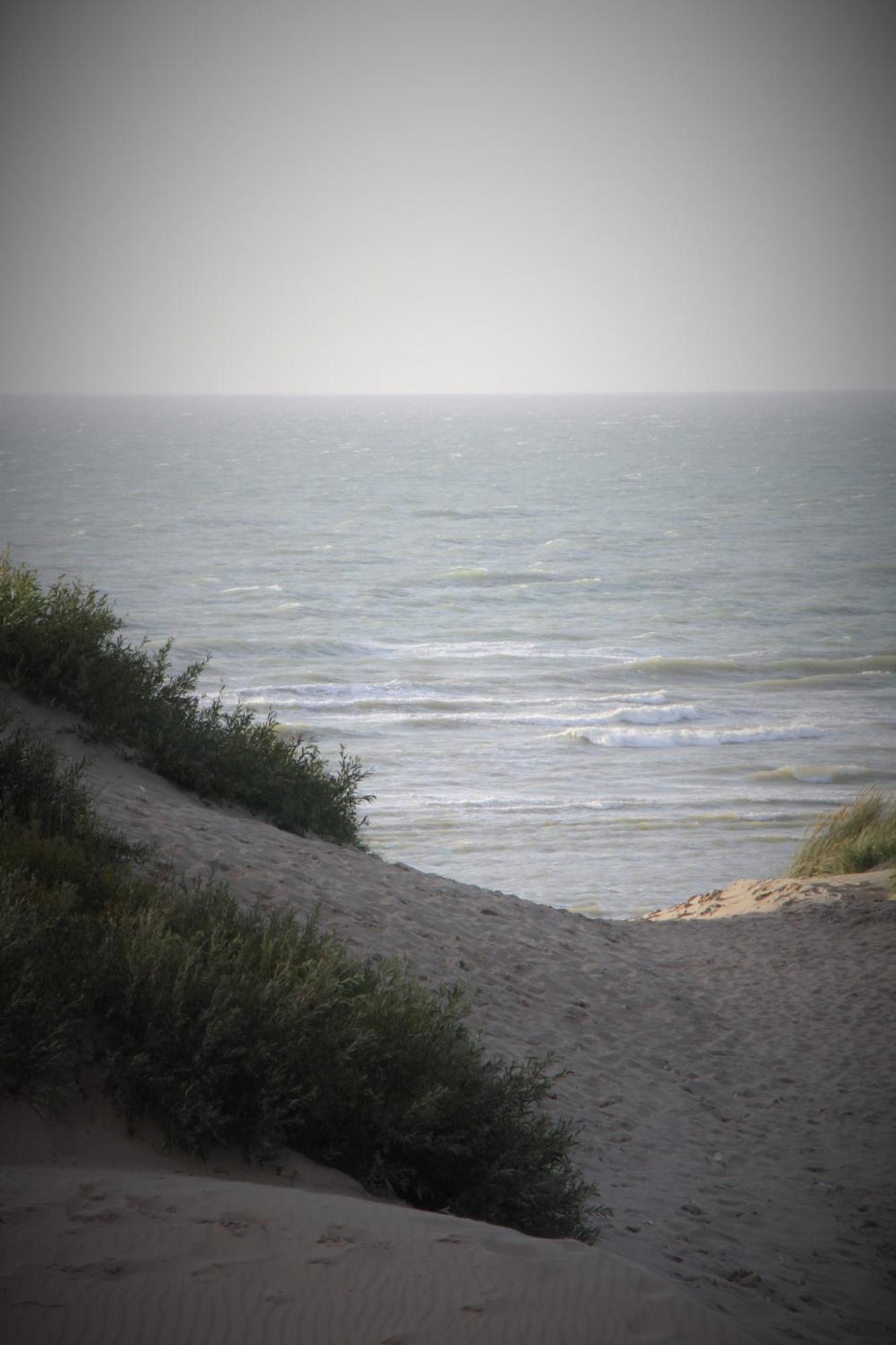 Boutique With Vue On Sea And Dunes